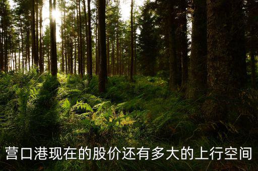 營口港為什么漲停，營口港股票怎么了