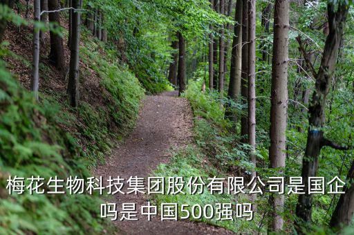 梅花生物是什么板塊，梅花生物科技集團(tuán)股份有限公司是國(guó)企嗎是中國(guó)500強(qiáng)嗎