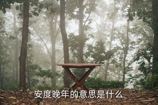 安度晚年是什么意思，安度晚年這個成語的意思是什么D