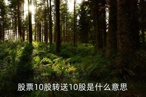 十股轉(zhuǎn)贈(zèng)十股是什么意思，股票10股轉(zhuǎn)送10股是什么意思