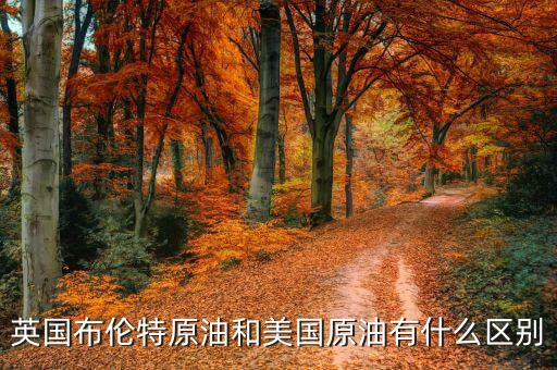 布油與美國原油有什么不同，英國布倫特原油和美國原油有什么區(qū)別