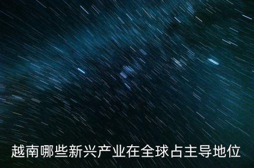 越南哪些新興產(chǎn)業(yè)在全球占主導地位