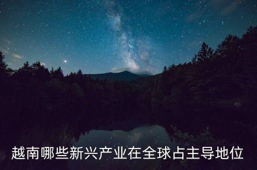 越南有什么制造業(yè)，越南哪些新興產業(yè)在全球占主導地位