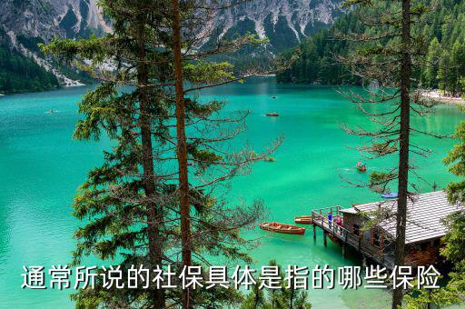 社保包括什么保險(xiǎn)，社保具體是指的哪些保險(xiǎn)