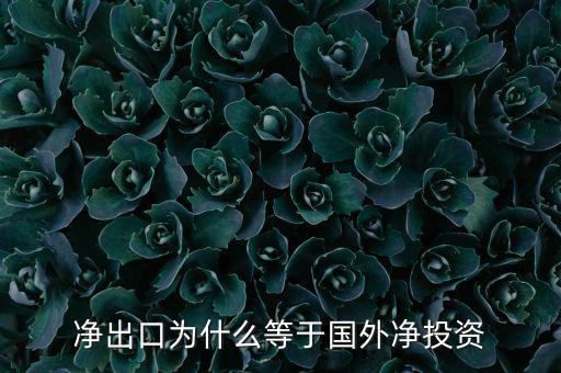 國外凈投資是什么，凈出口為什么等于國外凈投資