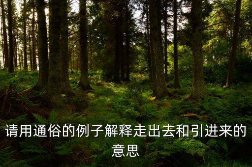 請用通俗的例子解釋走出去和引進來的意思
