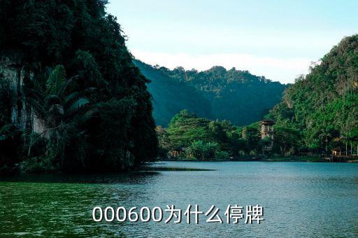 軟控股份為什么停牌，002399今天為什么停牌