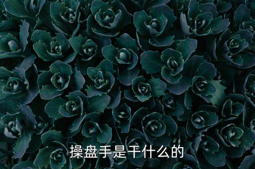 股票操盤手做什么，操盤手是干什么的
