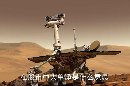 大單凈值什么意思，大單凈比是什么意思