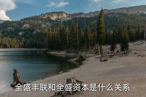 全盛資本什么背景，全盛資本是做什么的屬于哪個行業(yè)的