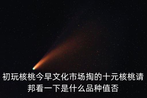 賭核桃是什么品種，請問我這個(gè)手玩核桃是什么品種好嗎值多錢