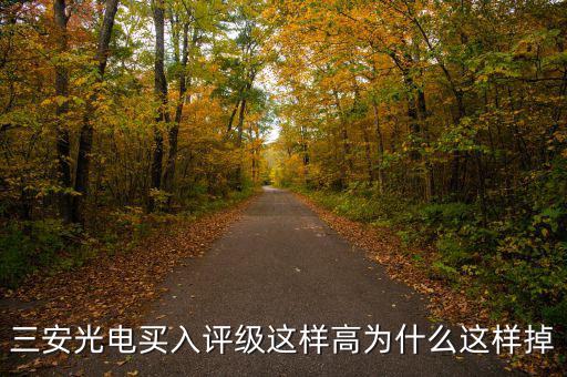 三安光電買(mǎi)入評(píng)級(jí)這樣高為什么這樣掉