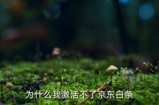 為什么京東的白條激活不了，京東商城的白條為什么激活不了