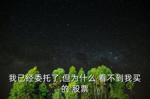 我已經(jīng)委托了,但為什么 看不到我買(mǎi)的 股票