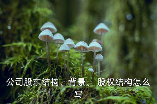 公司股東結(jié)構(gòu)、背景、 股權(quán)結(jié)構(gòu)怎么寫