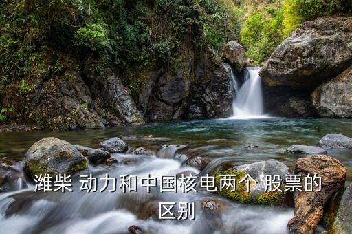 濰柴 動力和中國核電兩個(gè) 股票的區(qū)別
