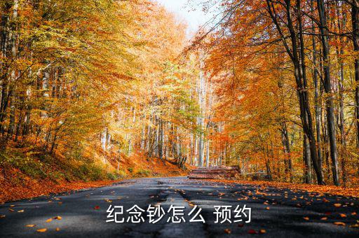 紀念鈔怎么 預(yù)約