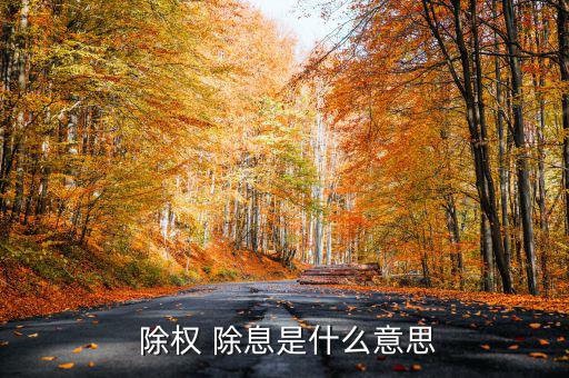  除權 除息是什么意思