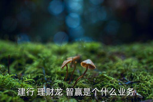 智贏系列理財怎么樣,龍投理財在即理財不能單獨(dú)看收益