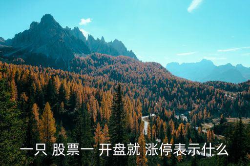 一只 股票一 開(kāi)盤(pán)就 漲停表示什么