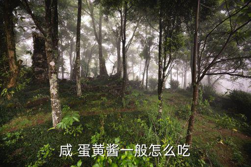 人造蛋黃醬怎么吃,蛋黃醬可用于面包沙拉、壽司等