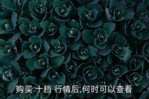 購(gòu)買(mǎi) 十檔 行情后,何時(shí)可以查看
