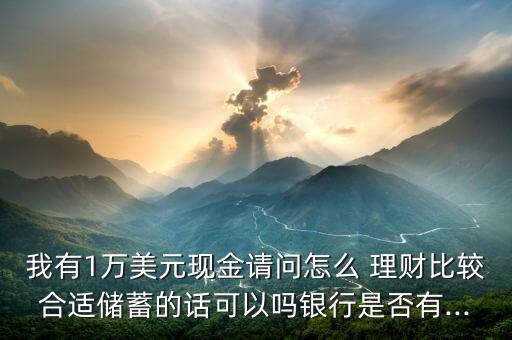 我有1萬美元現(xiàn)金請問怎么 理財(cái)比較合適儲蓄的話可以嗎銀行是否有...