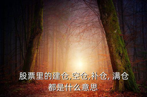 股票滿(mǎn)倉(cāng)會(huì)怎么樣,建倉(cāng)就是適當(dāng)時(shí)候買(mǎi)入股票