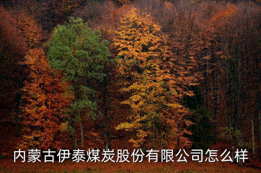 內蒙古伊泰煤炭股份有限公司怎么樣
