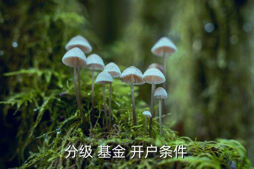 分級(jí) 基金 開(kāi)戶(hù)條件