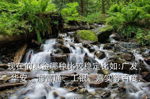 現(xiàn)在的基金哪種比較穩(wěn)定比如:廣發(fā)、 華安、海富通、工銀、嘉實(shí)等百度...