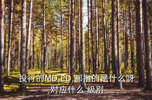 投行級別怎么升的,理財(cái)投資要選擇最好的投資