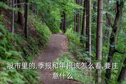 股票季度線(xiàn)怎么看,看個(gè)股季報(bào)主要看季度收益率
