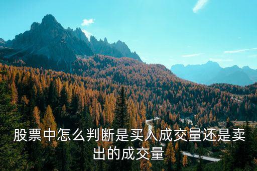  股票中怎么判斷是買(mǎi)入成交量還是賣(mài)出的成交量