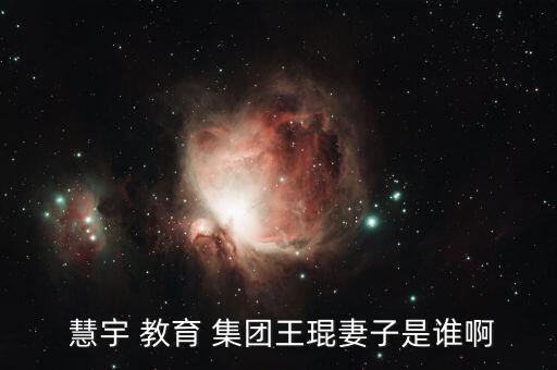 慧宇教育集團(tuán)怎么樣,王琨:中國民營副主席教育協(xié)會(huì)培訓(xùn)教育中