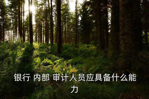  銀行 內部 審計人員應具備什么能力