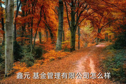 鑫元基金怎么樣,鑫元基金經(jīng)營范圍包括基金發(fā)行、基金賣出等