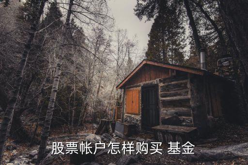 通達(dá)信怎么買(mǎi)基金,基金賬戶指南基金可買(mǎi)什么?