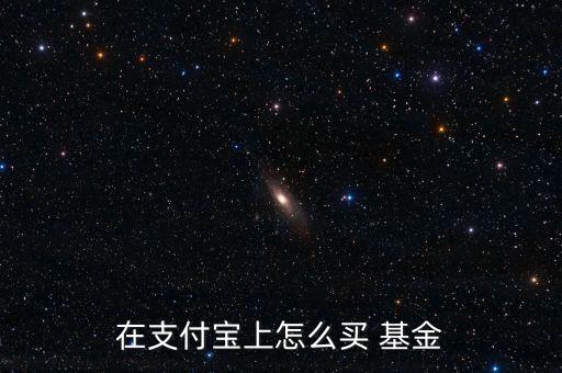 在支付寶上怎么買(mǎi) 基金