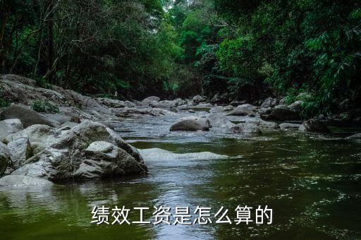 白酒績效怎么算,績效薪酬體系通常是個(gè)人績效