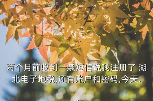 兩個(gè)月前收到一條短信說我注冊了 湖北電子地稅,還有賬戶和密碼,今天...