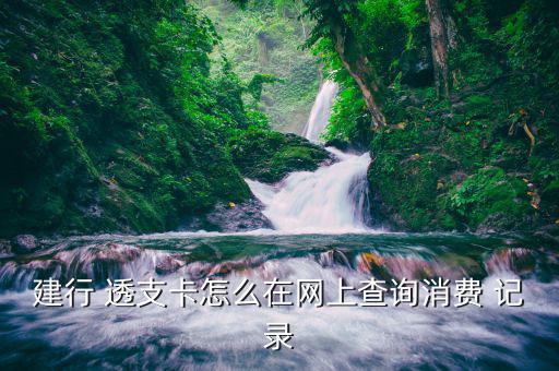 怎么查透支卡使用記錄,建行網(wǎng)銀用戶(hù)注冊(cè)后需要登錄首頁(yè)
