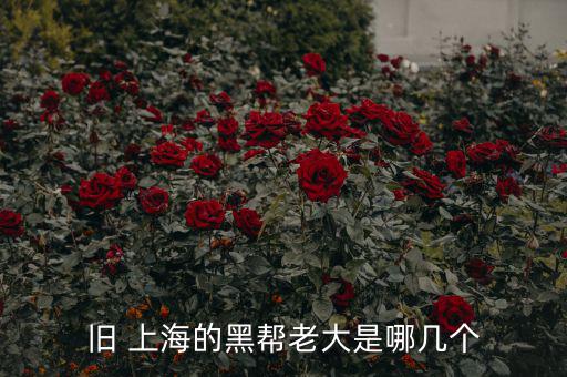上?；バ沤鹑谠趺礃?上海五國會(huì)議機(jī)制前身是五國集團(tuán)主席