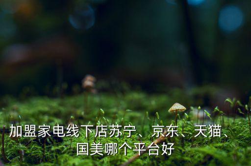 加盟家電線下店蘇寧、京東、天貓、 國(guó)美哪個(gè)平臺(tái)好