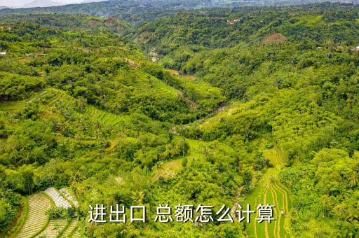  進(jìn)出口 總額怎么計算