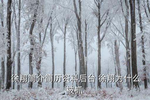 徐翔是怎么回事,徐翔、王偉、犯受賄罪被判入獄五年半