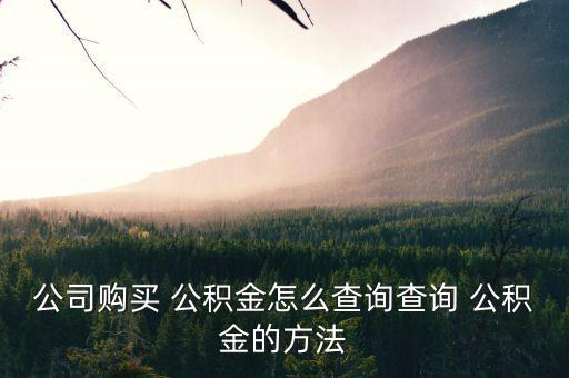 公司購(gòu)買 公積金怎么查詢查詢 公積金的方法