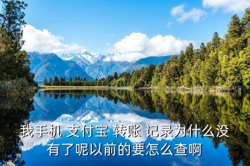 我手機 支付寶 轉(zhuǎn)賬 記錄為什么沒有了呢以前的要怎么查啊