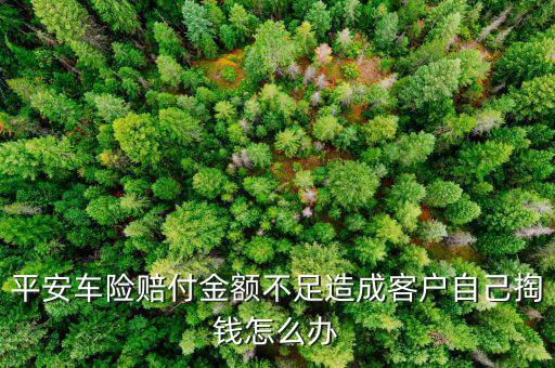 平安保險(xiǎn)賠車(chē)損價(jià)格底怎么辦,汽車(chē)保險(xiǎn)理賠流程詳解