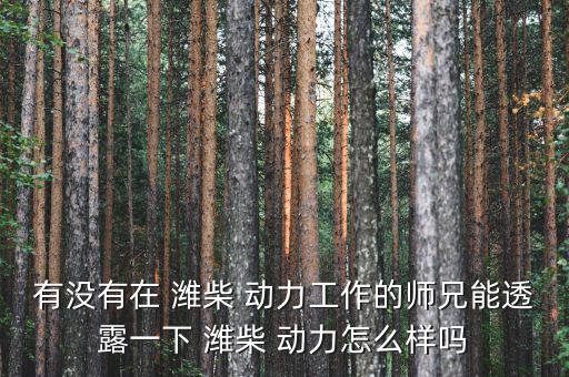 有沒有在 濰柴 動力工作的師兄能透露一下 濰柴 動力怎么樣嗎